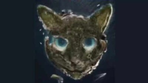 Optical illusion personality test: Cat or island? What you see first reveals if your inner strengths and weaknesses