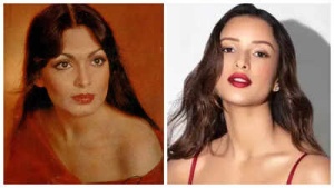 Triptii Dimri Eyes Parveen Babi Role in Upcoming Biopic Series: Report