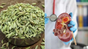Fennel Seeds: A Natural Ally for Kidney Health, Detoxification, and Inflammation Reduction