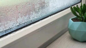 Baking Soda: The Unexpected Autumn Ally Against Window Condensation in UK Homes