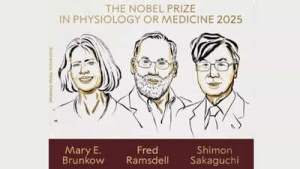 Nobel Prize in Medicine 2025: Immune Tolerance Pioneers Honored - Meet the Winners and Their Groundbreaking Work