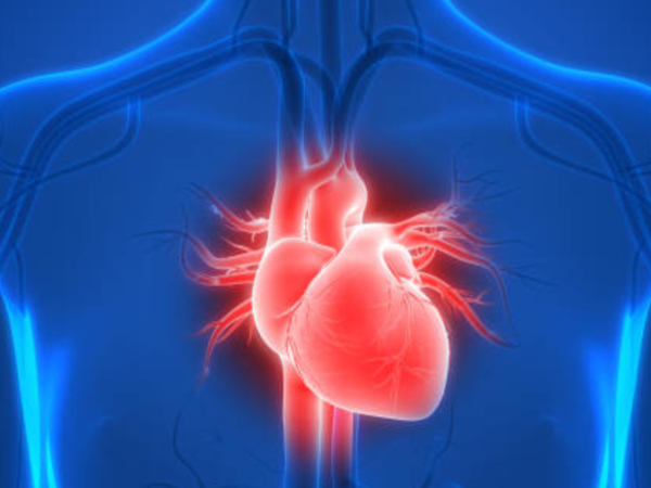 Drinking enough water boosts heart health