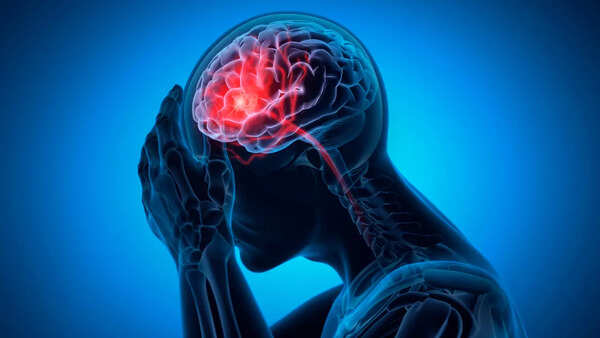 Detailed view of the brain structure