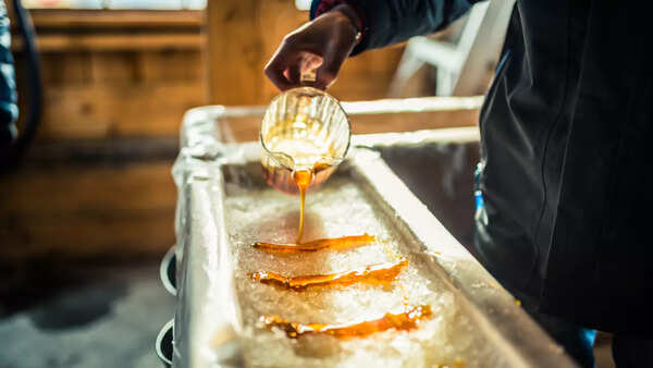 High fructose corn syrup in sodas and snacks