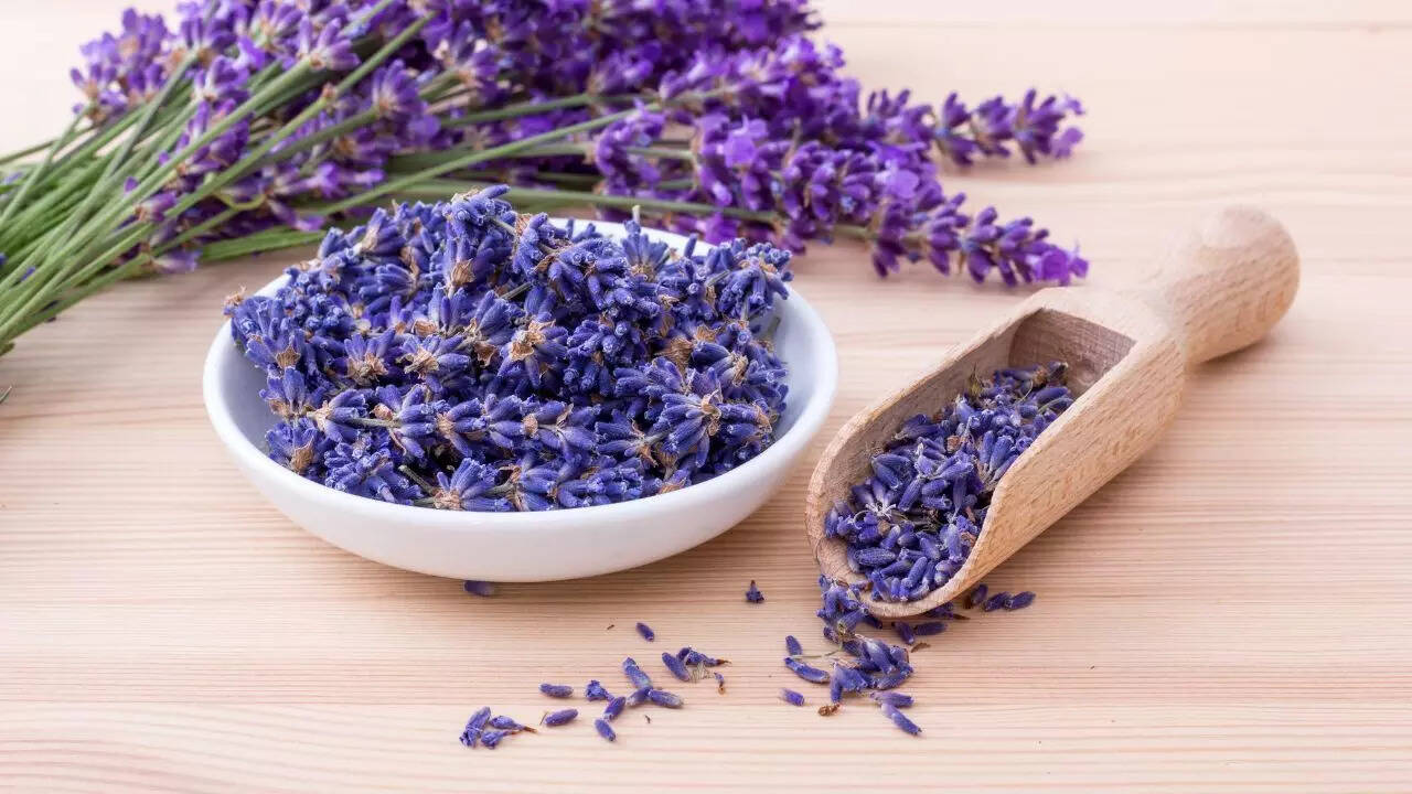 Lavender