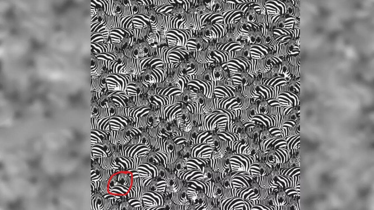 Optical Illusion Answer