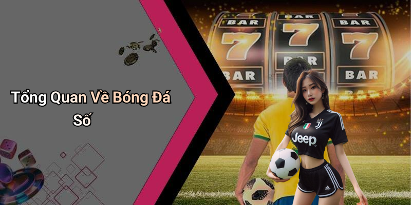 Tổng Quan Về Bóng Đá Số