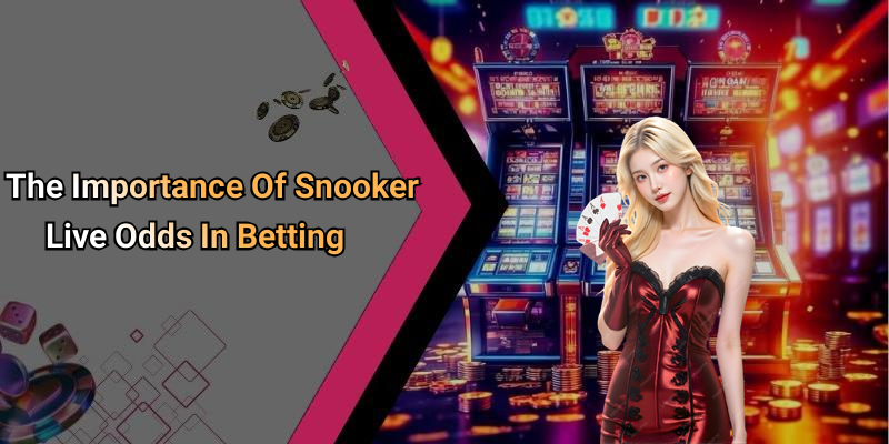 The Importance Of Snooker Live Odds In Betting