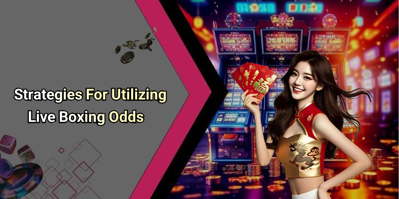Strategies For Utilizing Live Boxing Odds